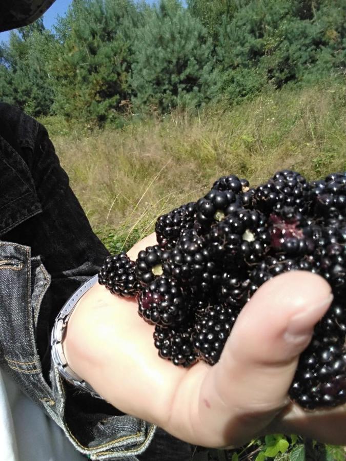 Yasna Sadyba Yasenitsa Zamkova Exteriör bild
